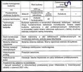 Lokal użytkowy Bytom - 3