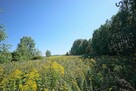 Działka rolna Dąbrowa Górnicza Błędów, Sztorcowa - 3
