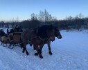 przejażdżka bryczką w górach wakacje atrakcje karpacz - 3