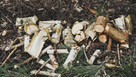 Rębak XR-50 – 2 ostrza - 5