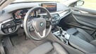 BMW 520d xDrive mHEV Luxury Line - 9