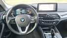 BMW 520d xDrive mHEV Luxury Line - 13