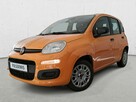 Fiat Panda EASY 1.2 Benzyna 69KM Krajowy Klima Radio Czujniki z tyłu 1 wł. FV23% - 1