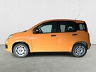Fiat Panda EASY 1.2 Benzyna 69KM Krajowy Klima Radio Czujniki z tyłu 1 wł. FV23% - 2