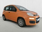 Fiat Panda EASY 1.2 Benzyna 69KM Krajowy Klima Radio Czujniki z tyłu 1 wł. FV23% - 7