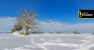 Działka budowlana Wilków gm. Bodzentyn, - 7