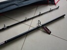 Wędka na suma Jaxon Zaffira Catfish 3m 450g - 2