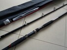 Wędka na suma Jaxon Zaffira Catfish 3m 450g - 3