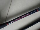 Wędka na suma Jaxon Zaffira Catfish 3m 450g - 5