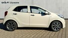 Kia Picanto Gotowe do odbioru, Atrakcyjna cena! BusinessLine - 4