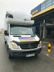Super Mario Przeprowadzki Transport Bydgoszcz - 7