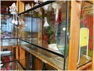 Terrarium szklane z wentylacją 80x40x40cm dla jeż pigmejski, - 4