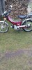 Skuter shineray - 5