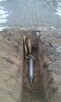 Usługi Minikoparką 2.5 T wiertnica Przeciski Kretem - 3