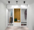 Projekt szafy, garderoby, wizualizacja - 1