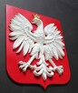 Nowe godło Polski wymiary: 325x280 mm - 2