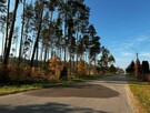 Działka leśna w miejscowości Błędnica, 9,7 ha - 5