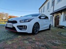 Kia Cee'd 1.6T-GDI 204KM z DE Bezwypadkowy Kamera 19" Gwarancja - 16