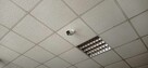 Monitoring/ Alarm/ Sieci LAN - 2