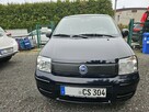 Fiat Panda - 2