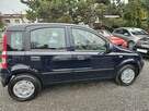 Fiat Panda - 4