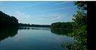 Dz.0.3393ha,Żelisławie,gmCzaplinek,J.Kaleńskie,las - 1