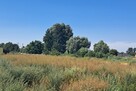 Zaszczytowo działka budowlana 2500m2 z WZ - 9
