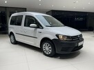 Volkswagen Caddy Trendline, salon PL, 1wł. DOSTAWA W CENIE, FV-23%, gwarancja - 5