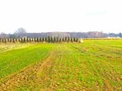 Działka rolno-budowlana Sporniak gm. Konopnica - 2