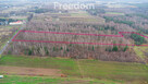 Działka 1,86 ha Suchostruga gmina Tarczyn - 4