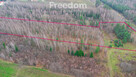 Działka 1,86 ha Suchostruga gmina Tarczyn - 5