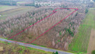 Działka 1,86 ha Suchostruga gmina Tarczyn - 10