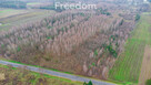 Działka 1,86 ha Suchostruga gmina Tarczyn - 12