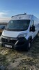 Wynajmę busa Opel Movano L4H2 2024r - 1