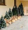 Piękna sztuczna choinka , choinka na pniu i w stojaku - 4