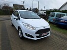 Ford Fiesta - 5