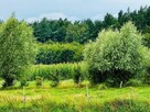 Malownicza działka w Otominie. Natura i Spokój - 2