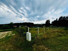 Malownicza działka w Otominie. Natura i Spokój - 3