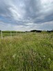 Malownicza działka w Otominie. Natura i Spokój - 7