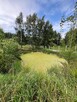 Malownicza działka w Otominie. Natura i Spokój - 9