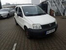 Fiat Panda - 1