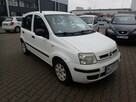 Fiat Panda - 1