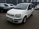 Fiat Panda - 5