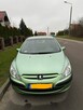 Peugeot 307 1,6 diesel - 1