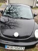 New Beetle - 7