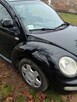 New Beetle - 6