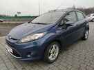 Ford Fiesta - 5