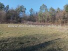 Działka Męcina gm. Limanowa - 2