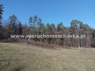 Działka Męcina gm. Limanowa - 3