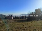 Działka Męcina gm. Limanowa - 5